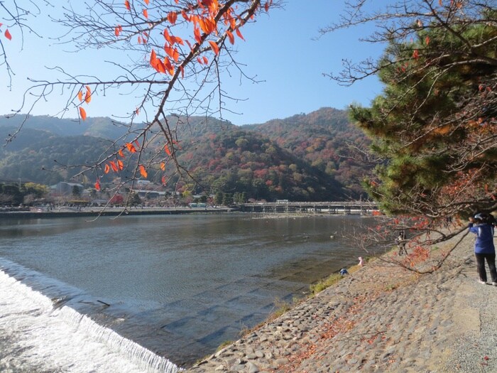 物件外観写真5　(周辺環境)