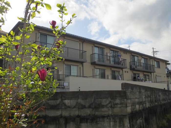 物件外観写真6　(外観写真)