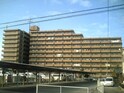 ﾗｲｵﾝｽﾞﾏﾝｼｮﾝ和泉上町(209)