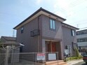 なでしこ