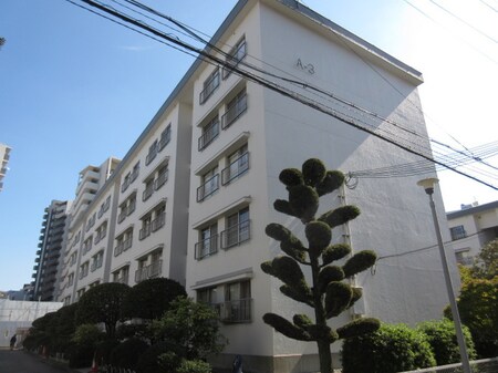 千里竹見台団地A3棟(303)外観写真