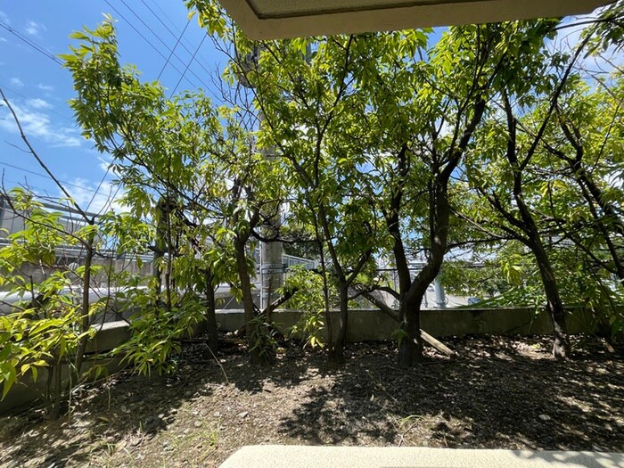 物件内観写真14　(室内からの展望)