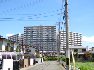 コート和泉府中セルカC棟(1213)外観写真