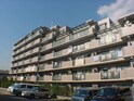 ﾗｲｵﾝｽﾞﾏﾝｼｮﾝ楠葉（６０３）