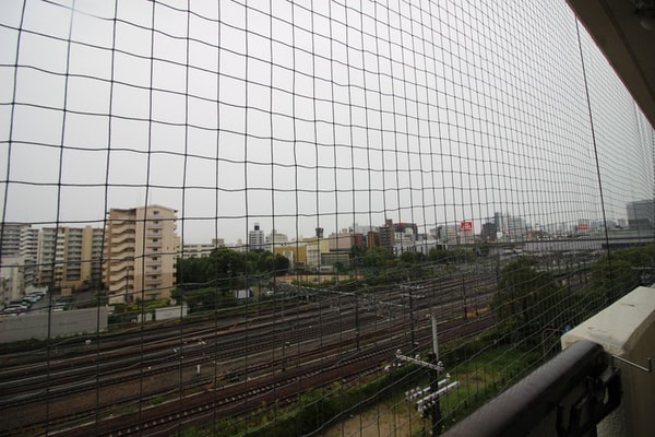 室内からの展望