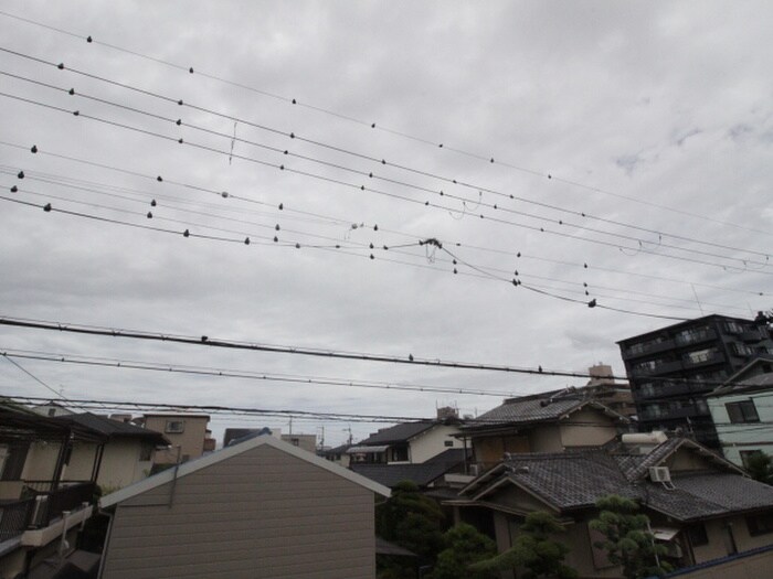 物件内観写真22　(室内からの展望)