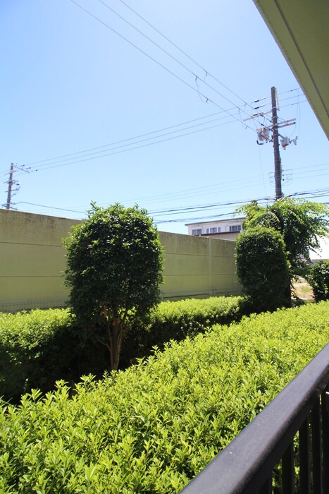 物件内観写真14　(室内からの展望)