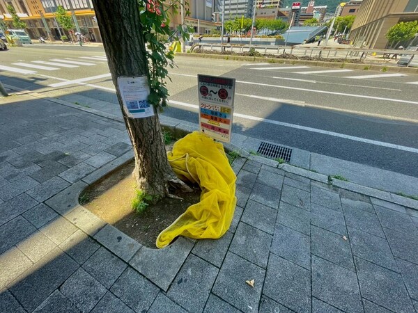 周辺環境