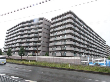 ｴﾝｾﾞﾙﾊｲﾑﾊﾟｰｸｽﾃｰｼﾞ四番館(714)外観写真