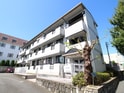 アルス・シンコー