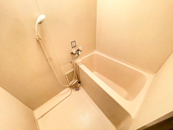 ロジェ－ル観月のバス