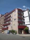 サンシャイン大国