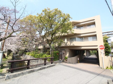 メゾン苦楽園桜町(108)外観写真
