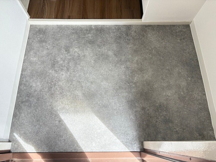 物件内観写真19　(玄関)