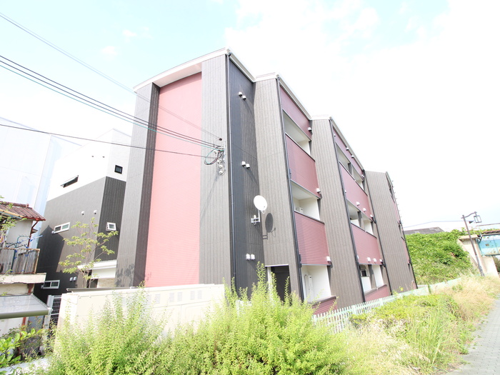 SAKURA　ent