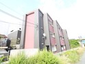 SAKURA　ent