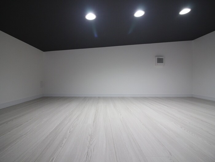 物件内観写真15　(ロフト)