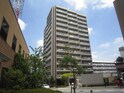 ｼﾞｵ千里山田ﾂｲﾝﾃﾗｽ（803）