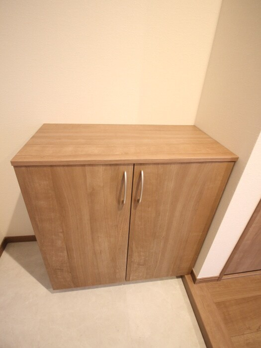 物件内観写真19　(靴箱)