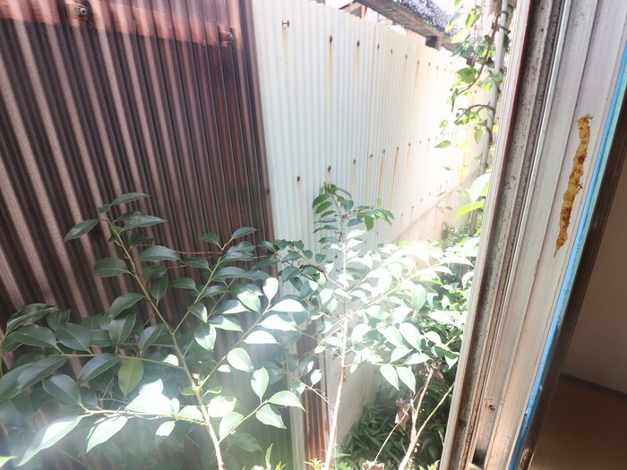 物件内観写真15　(室内からの展望)