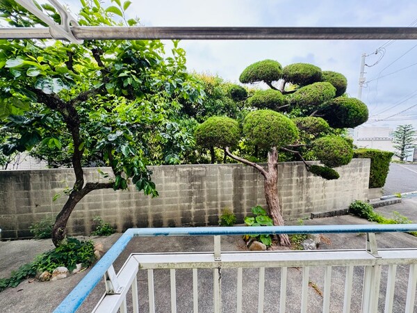 室内からの展望