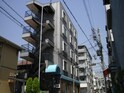 マイマイロード