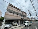ダンデライオン