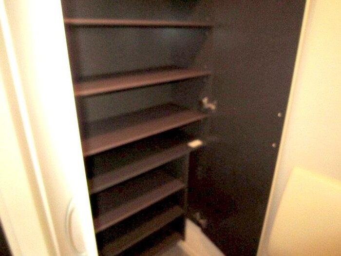 物件内観写真7　(靴箱)