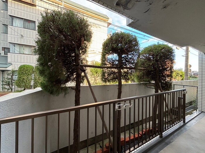 物件内観写真22　(室内からの展望)