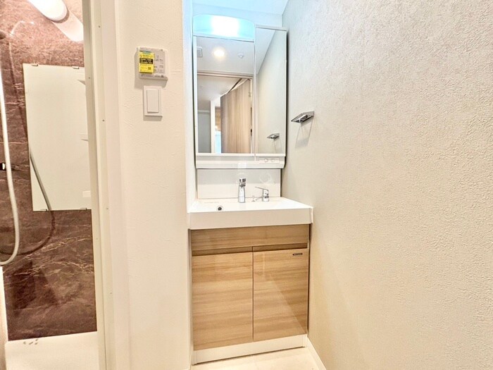 物件内観写真9　(洗面)