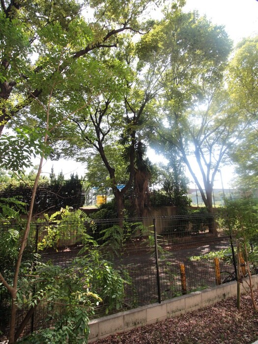 物件内観写真16　(室内からの展望)