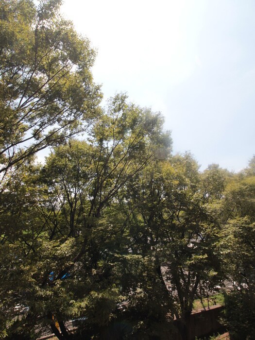 物件内観写真21　(室内からの展望)