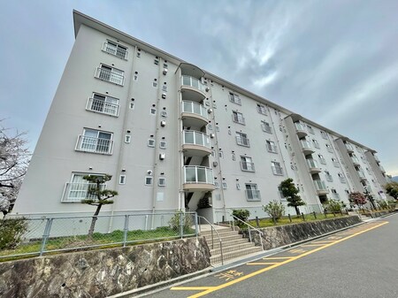 長岡天神ハイツＡ１４棟(５０１)外観写真