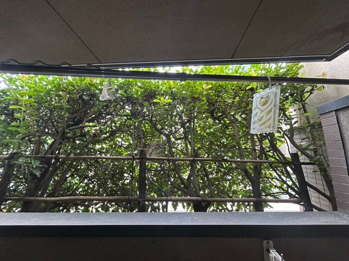 物件内観写真16　(室内からの展望)