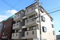 コアヒルⅡ