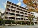 ﾗｲｵﾝｽﾞ苦楽園ｸﾞﾗﾝﾌｫｰﾄ(501)