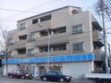 シャムロック