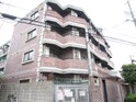 ステラハウス３１