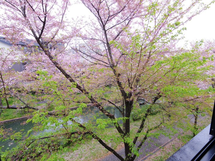 物件内観写真20　(室内からの展望)