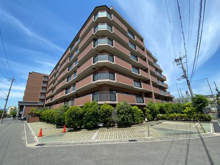 ﾊﾟﾃﾞｼｵﾝ宇治木幡Ⅱ番館(406)外観写真