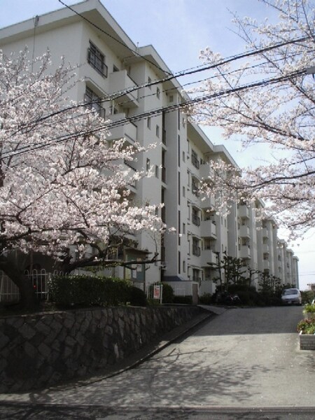 香里三井団地Ａ９２(204)外観写真