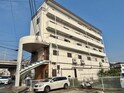 シャングリラ深井