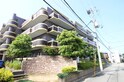エスパシオカメリア2