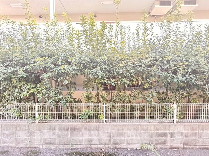 物件内観写真16　(室内からの展望)