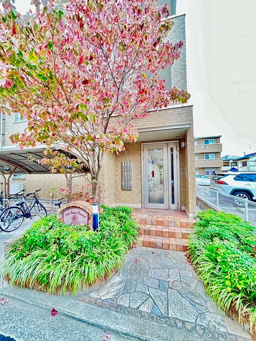 サウスメゾンひまわりのエントランス部分