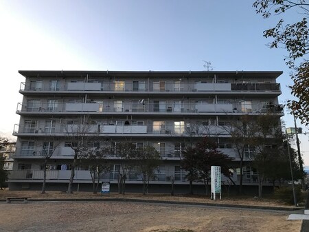 男山第3住宅202号棟（201）外観写真