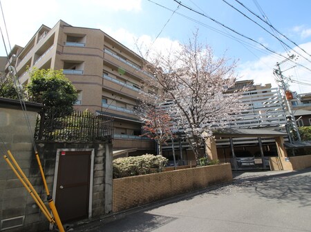 ネバーランド鴨川(207)外観写真