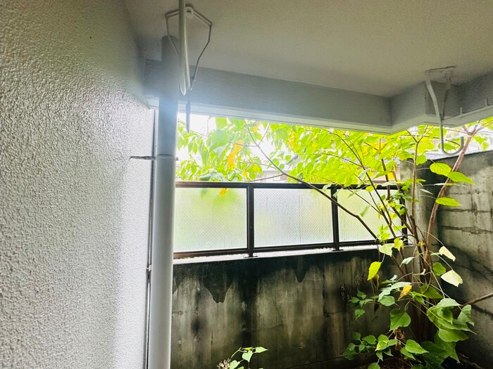 物件内観写真16　(室内からの展望)