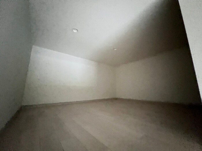 物件内観写真10　(ロフト)
