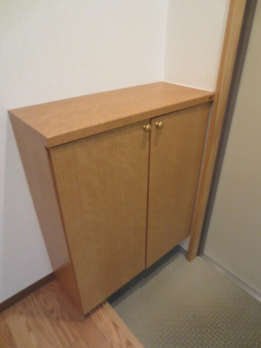 物件内観写真15　(靴箱)